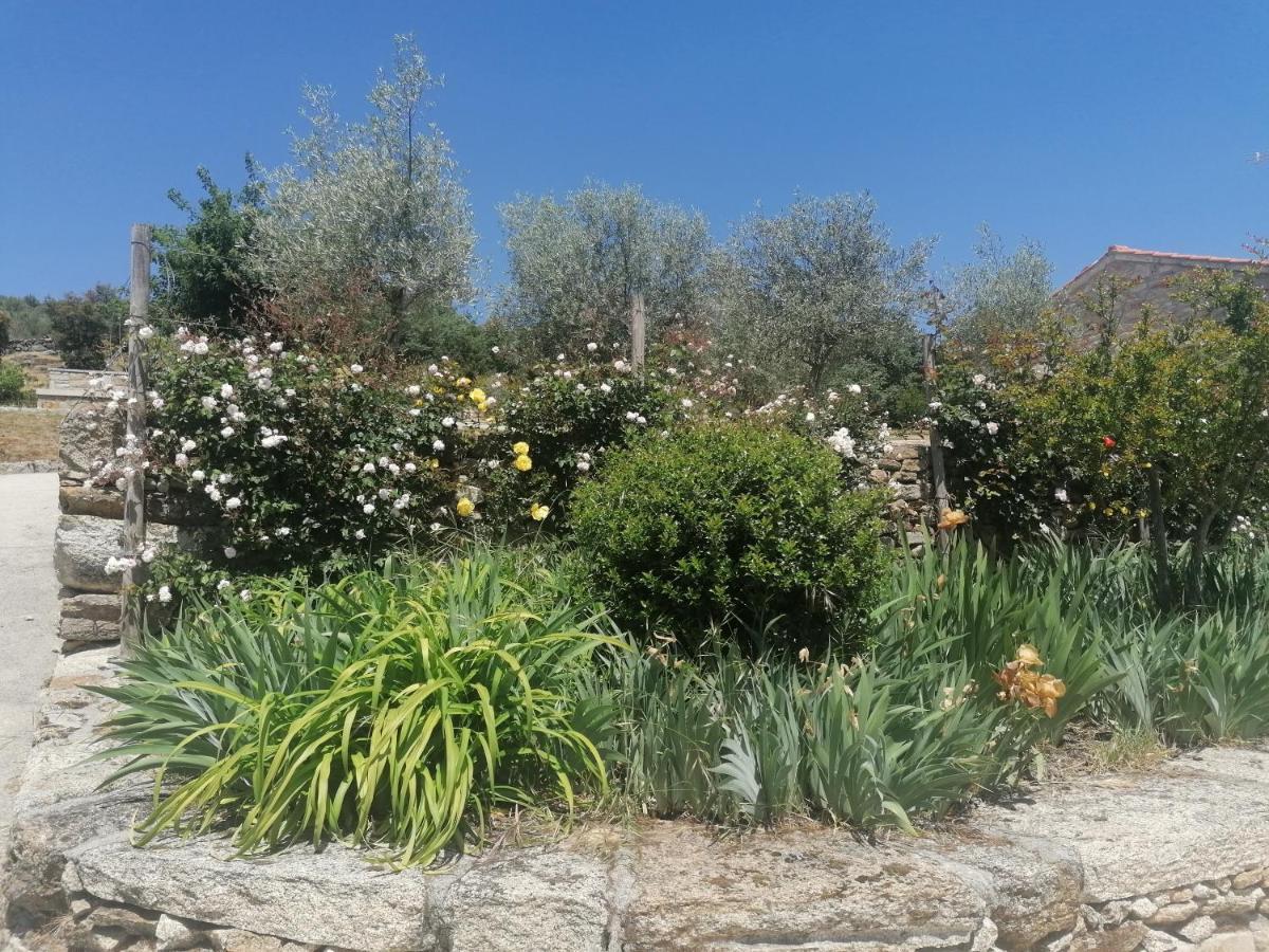 Rosas Da Granja - Casa De Campo 外观 照片