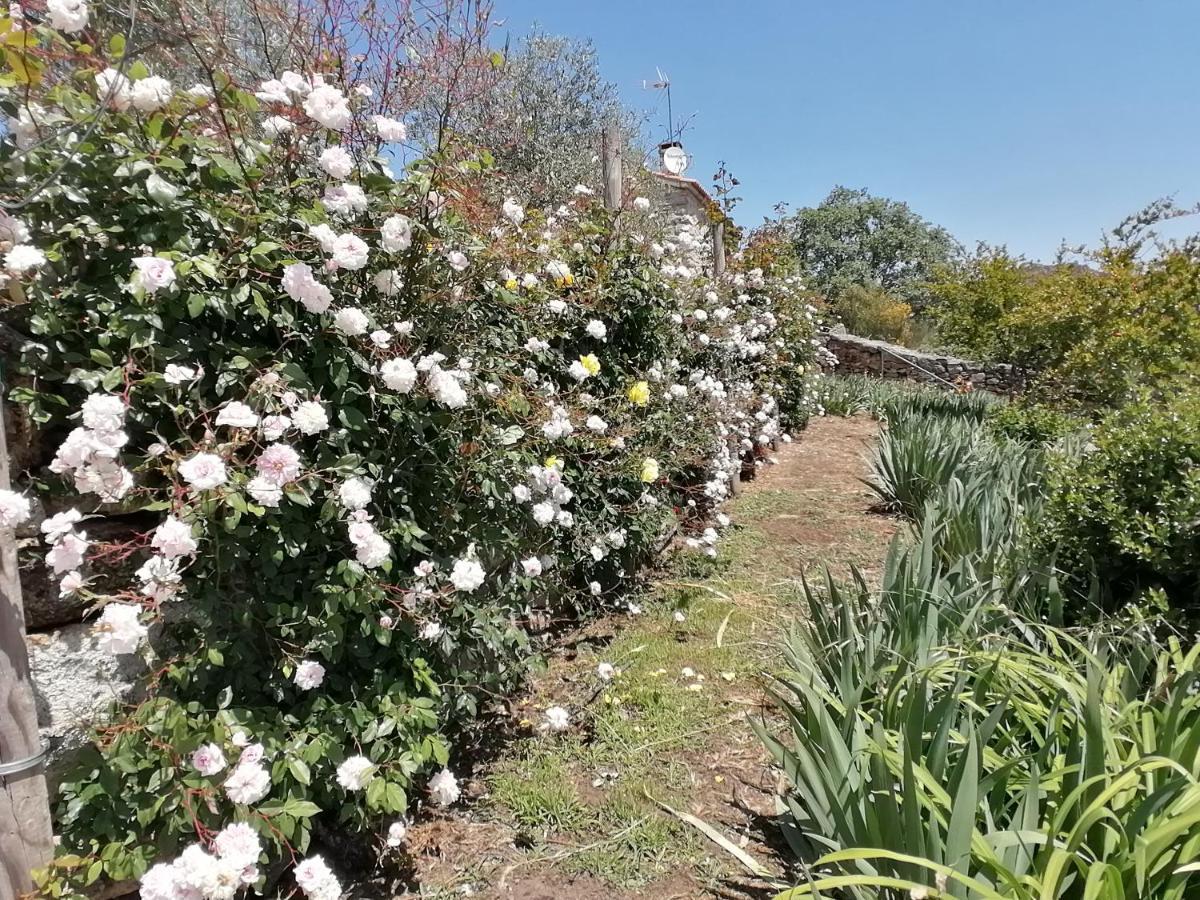 Rosas Da Granja - Casa De Campo 外观 照片